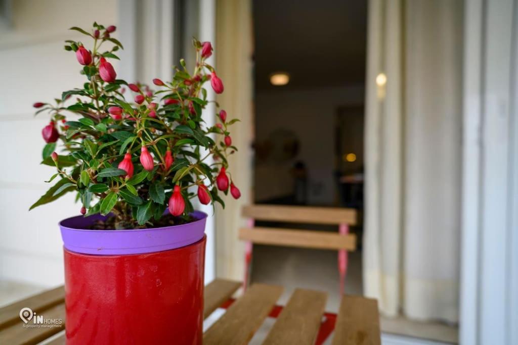 Thyme Out In Athens Appartement Buitenkant foto